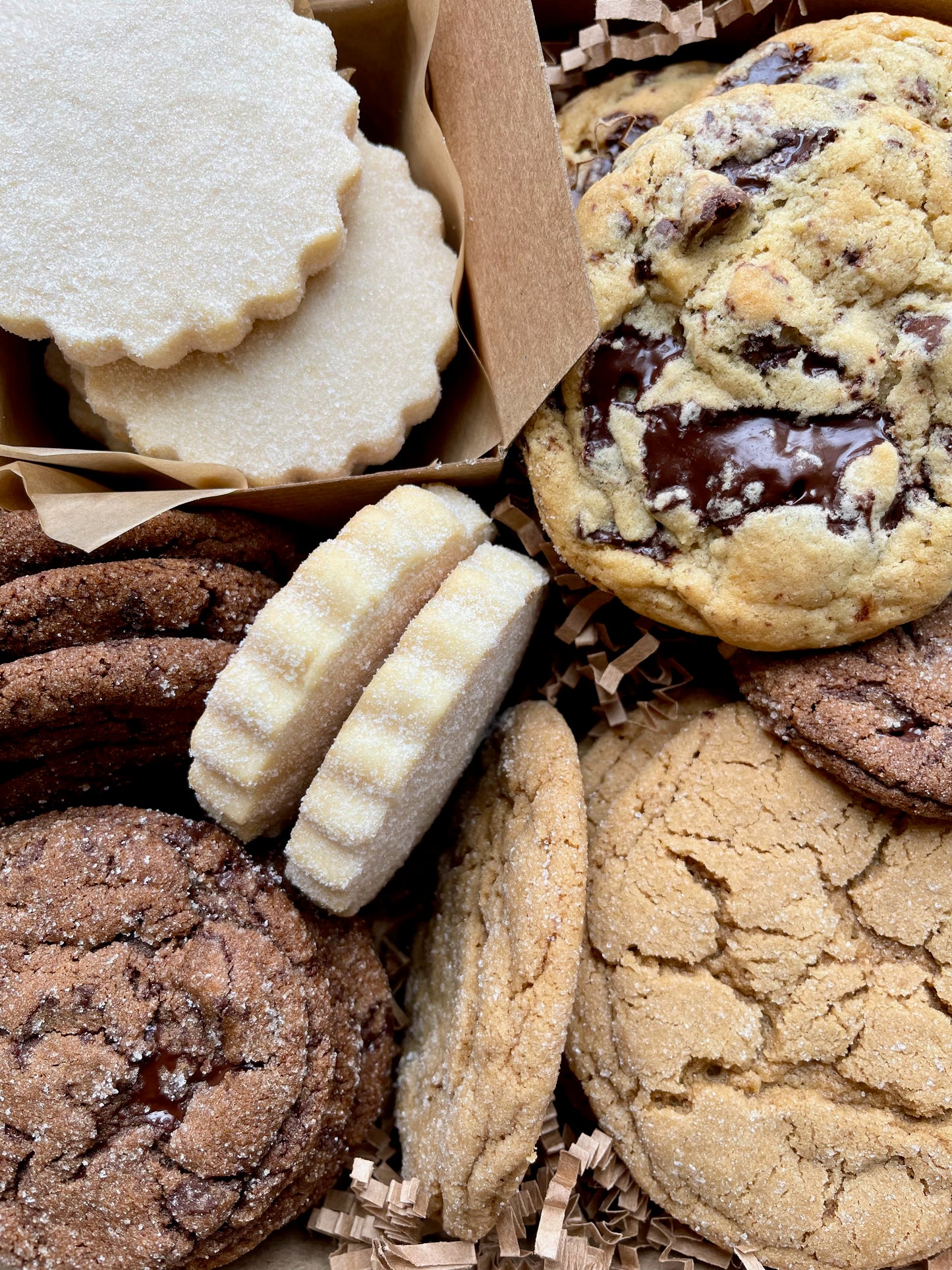 Holiday cookie gift box with chocolate ginger cookies, vanilla shortbread, brown sugar cookies, and chocolate chunk cookies.